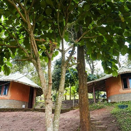 Punarjani Ayurvedic Resorts Ramakkalmedu Eksteriør billede