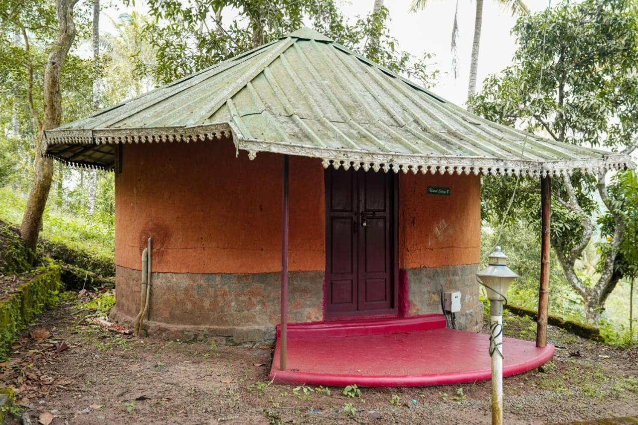 Punarjani Ayurvedic Resorts Ramakkalmedu Eksteriør billede