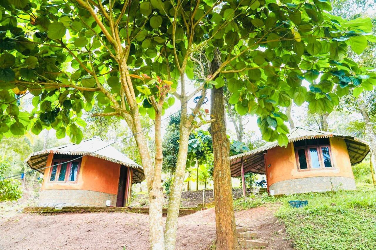 Punarjani Ayurvedic Resorts Ramakkalmedu Eksteriør billede