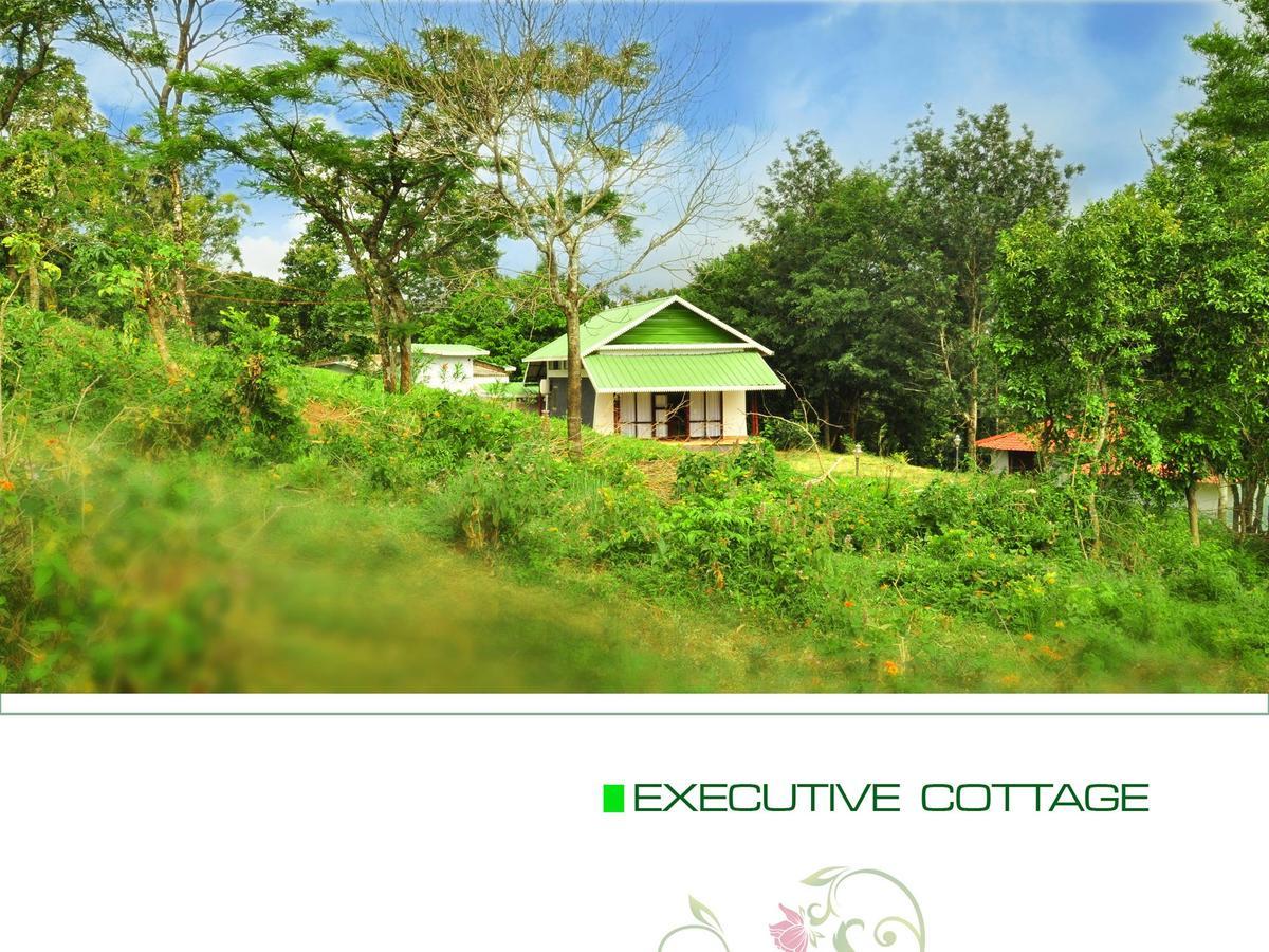 Punarjani Ayurvedic Resorts Ramakkalmedu Eksteriør billede